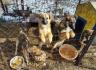 Filename: IMG_7467.jpeg
Size: 193.32 KB
07-12-2023, 02:20 PM